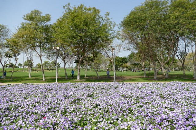 افتتاح حديقة زعبيل دبي