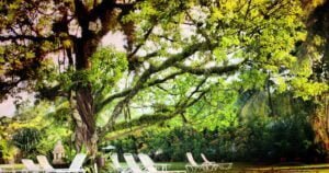 Read more about the article منتزهات قطر