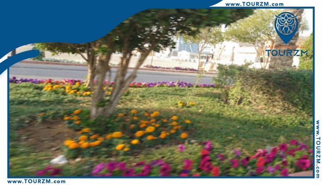 حديقة الورود الرياض