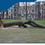 منتزه اليزابيث زيلامسي