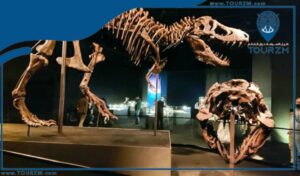 Read more about the article متحف التاريخ الطبيعي جنيف